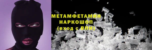 сатива Няндома