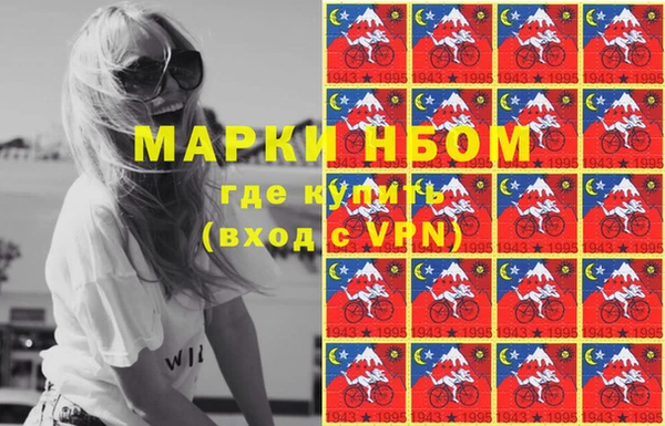 гашик Новозыбков
