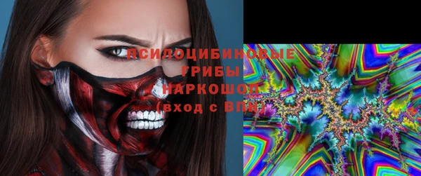 амф Балахна